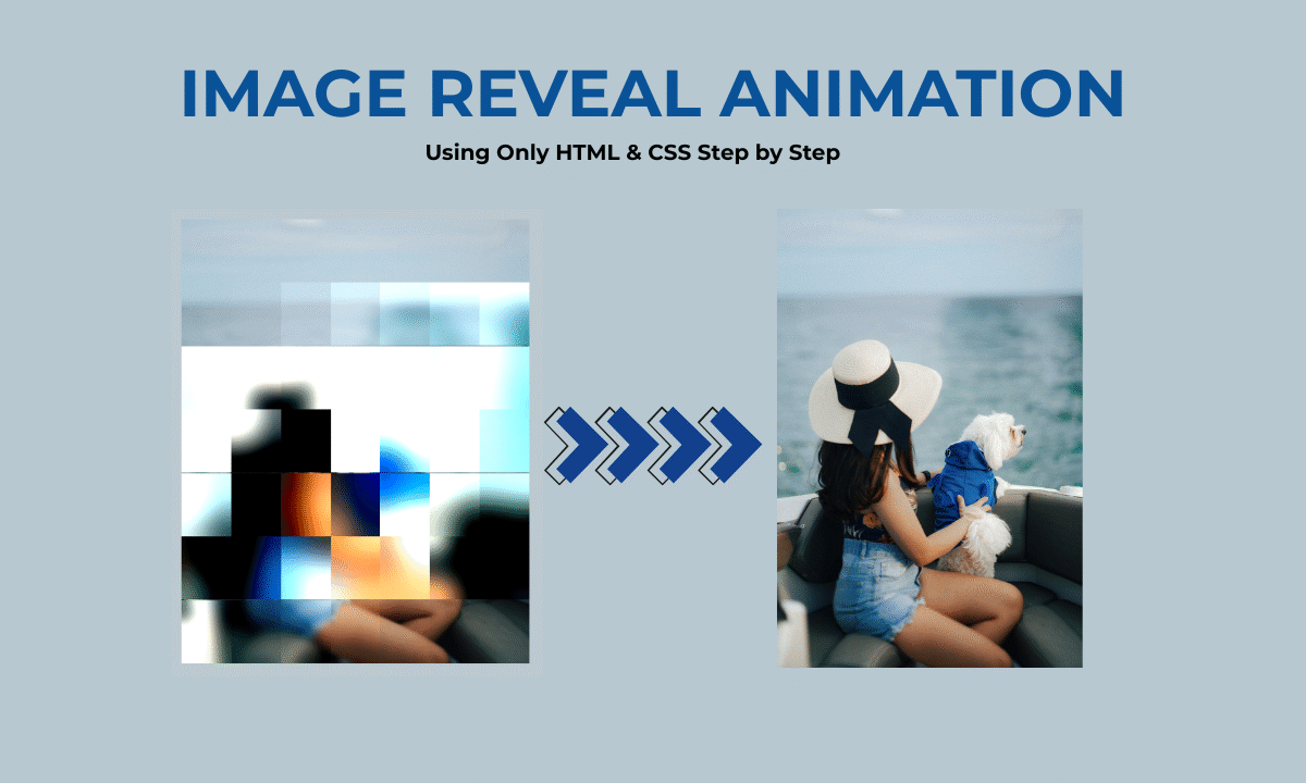 Creating a Stunning Reveal Animation Effect with CSS